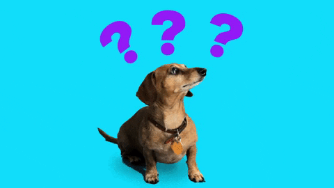 ChatBot