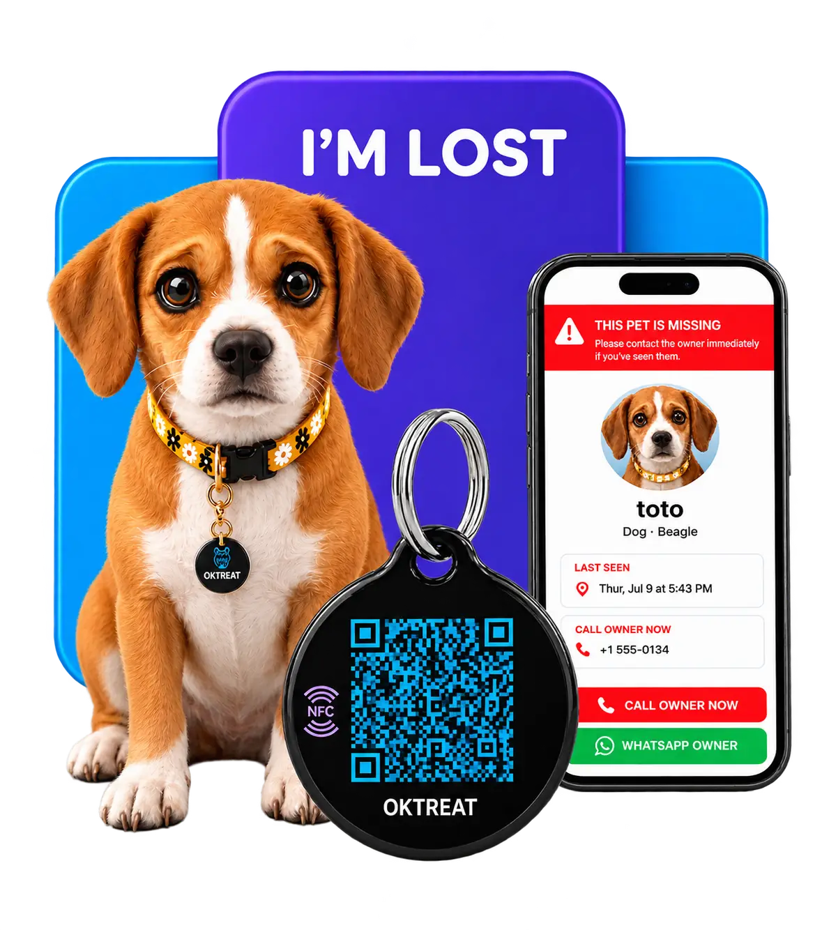 Lost pet identification and emergency contact information